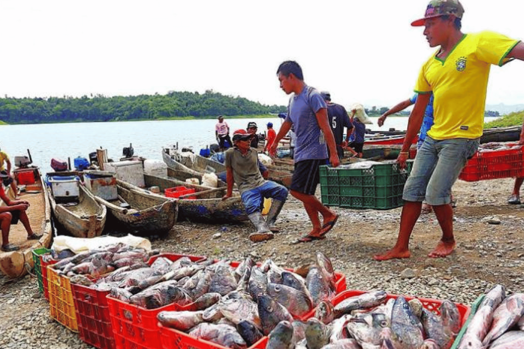 Movimiento de pescadores artesanales se desvincula de los cierre de calles