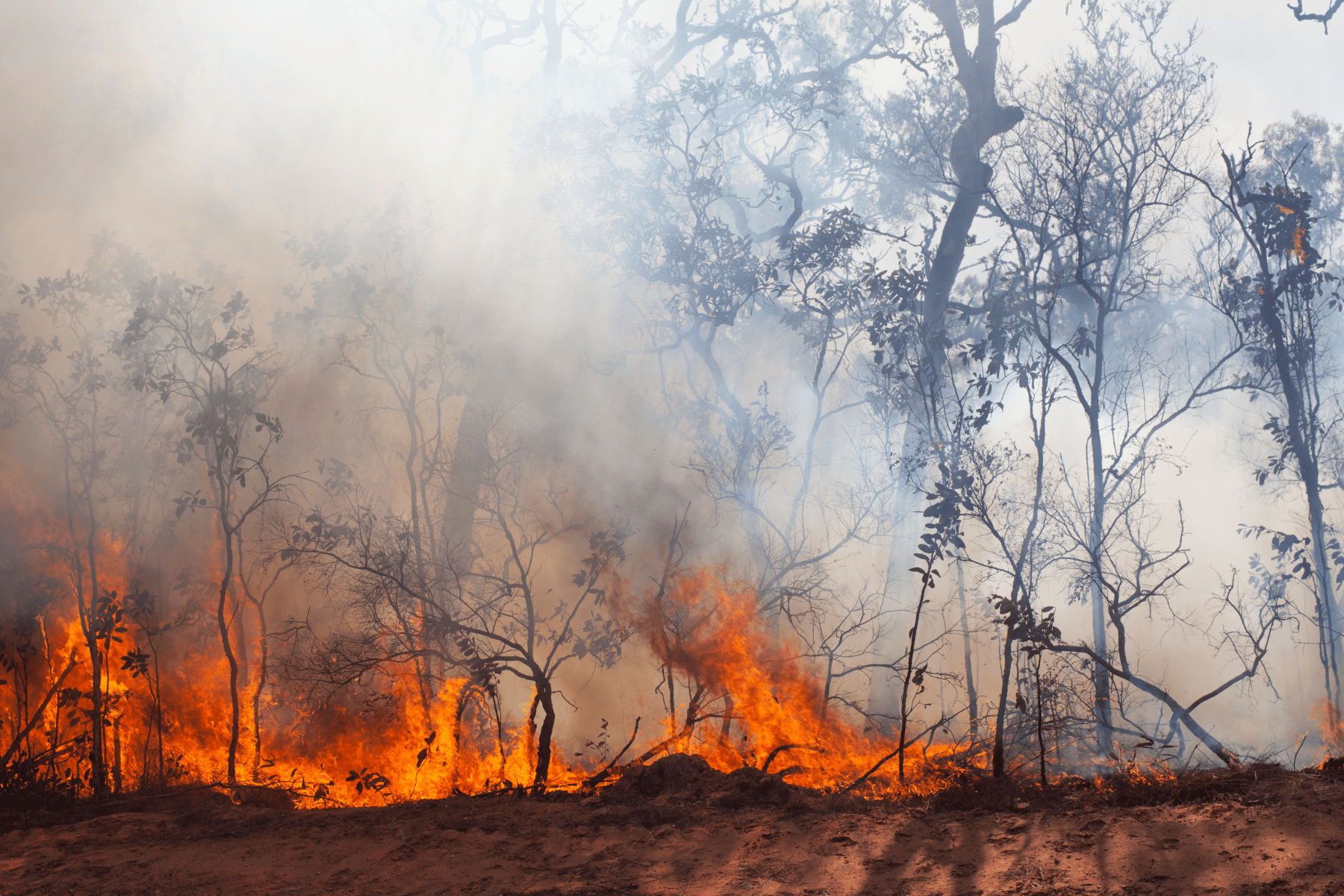 Advierten de condiciones climáticas que facilitan propagación de incendios