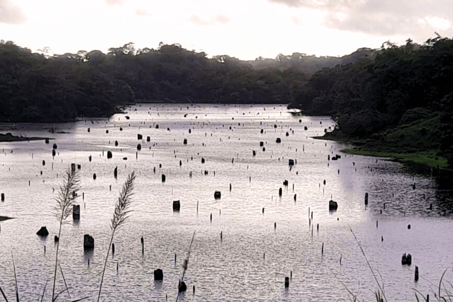 Canal utilizará norma del Banco Mundial para reubicar a las comunidades en río Indio