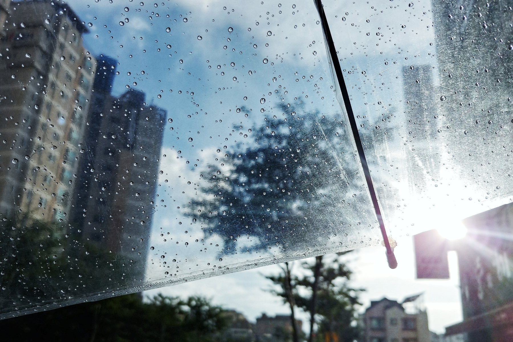 Lluvias seguirán presentes durante la temporada seca: confirman presencia de La Niña